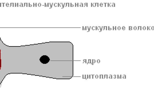 Забанили аккаунт на меге что делать