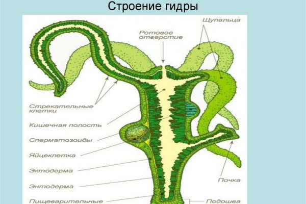 Как купить битки на меге